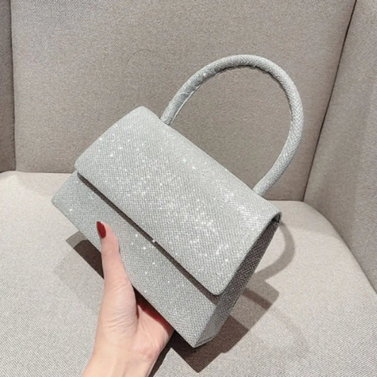 Glow Silver Bright luxury pouch-Elly Rose